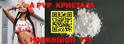 стафф Будённовск